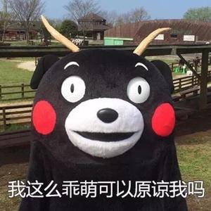 老司机精品影院
