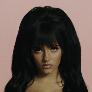 老司机精品影院
